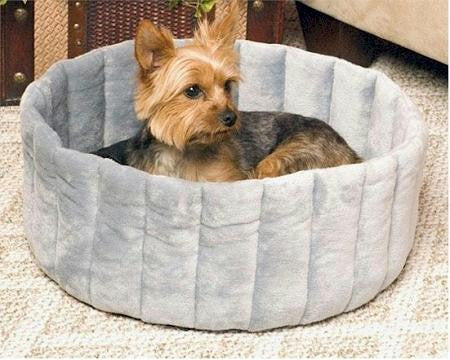 Kitty Cup Pet Bed - Large-Gray