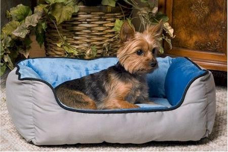 Self Warming Lounger Dog Bed - Gray & Blue