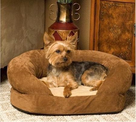 Ortho Bolster Dog Bed - Small-Gray