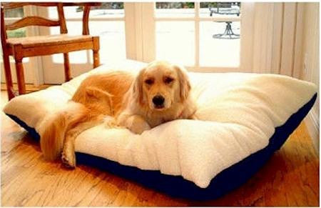 Rectangle Pet Bed - Large-Red