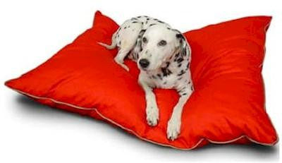 Super Value Pet Bed - Large-Khaki