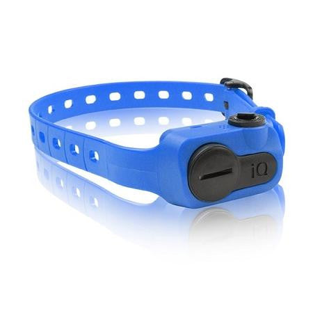 iQ No Bark Collar Blue