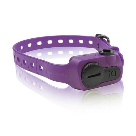 iQ No Bark Collar Purple