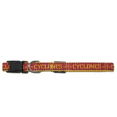 Iowa State Cyclone Collar Small
