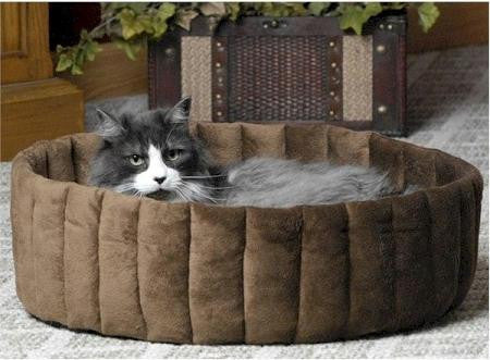Kitty Cup Pet Bed - Large-Mocha