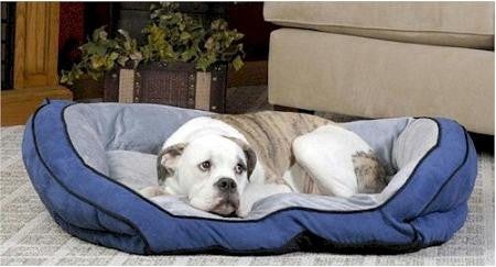 Bolster Pet Couch - Small-Blue