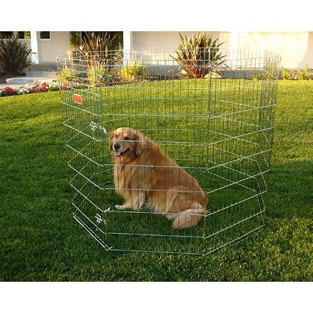 Dog Exercise Pen - Medium