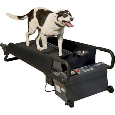 DogTread Medium Dog Treadmill - With K9 Fitness Program