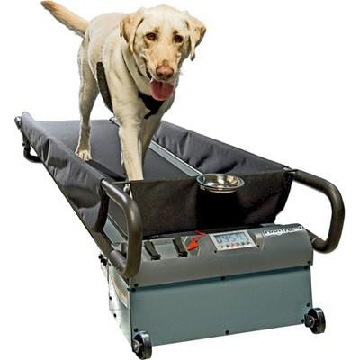 DogTread Large Dog Treadmill - With K9 Fitness Program