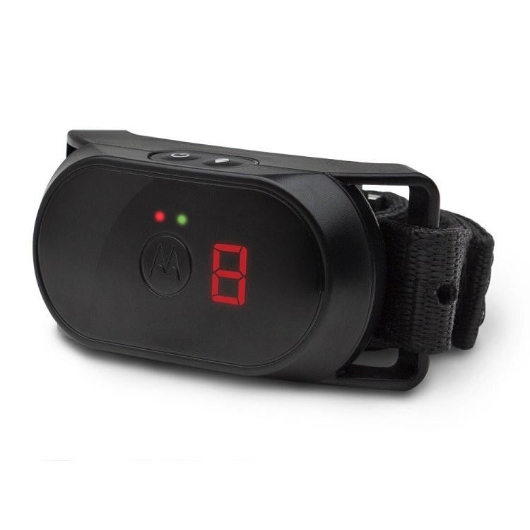 Motorola Dog No-Bark Collar - SCOUTBARK100