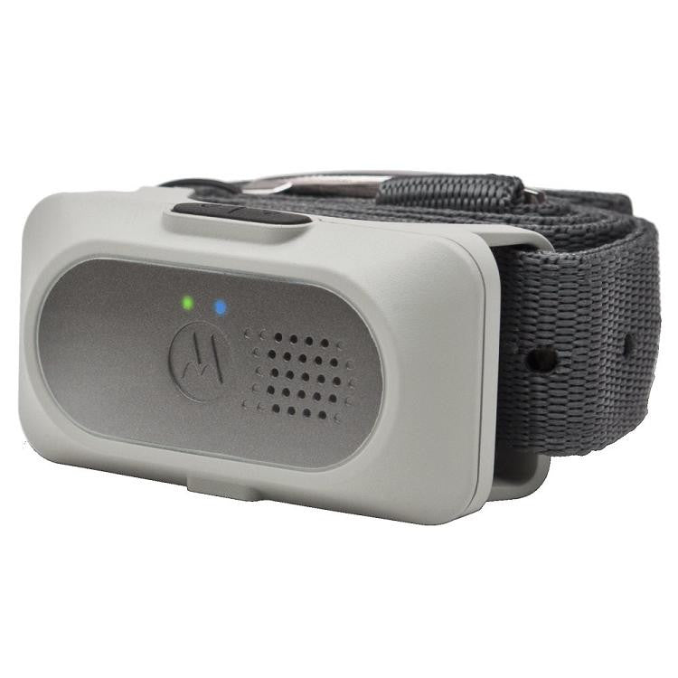 Motorola Additional Collar for SCOUTTRAINER50