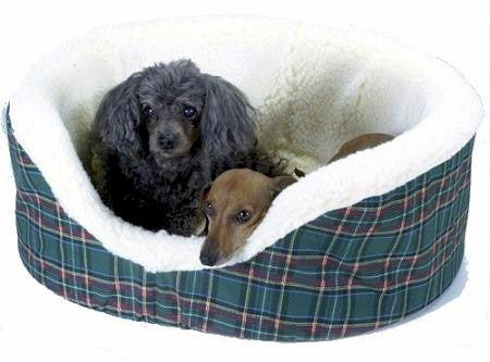 Pet Couch - Small-  Red