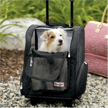 Roll Around Pet Carrier - Medium-Black