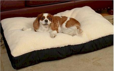 Rectangular Sherpa Top Dog Bed - Medium-Navy